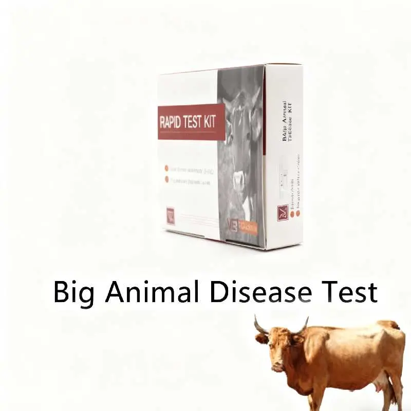 Bovine Brucella Antibody Test Card