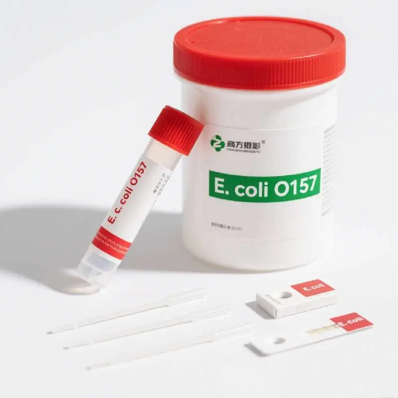 Escherichia coli O157 (1).jpg