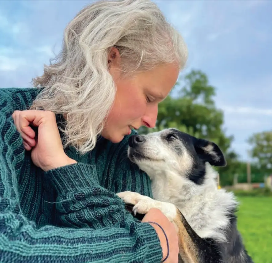 Canine Rotavirus Antigen Test (CRV Ag) (1).png