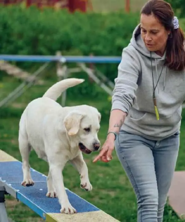 Canine Coronavirus Antigen Test1.jpg