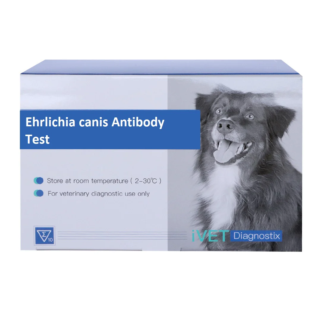 VD004 Ehrlichia Canis Antibody Test