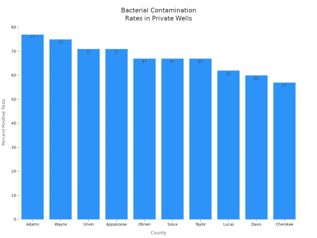 chart_1774850127809606459.webp