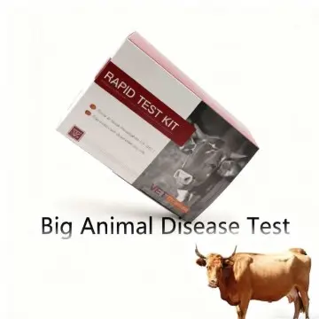 Bovine Brucella Antibody Test Card