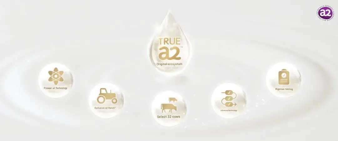 The full-link true A2+ evidence is more powerful丨a2 Zhichu’s in-depth review of the new national standard milk powder is here!