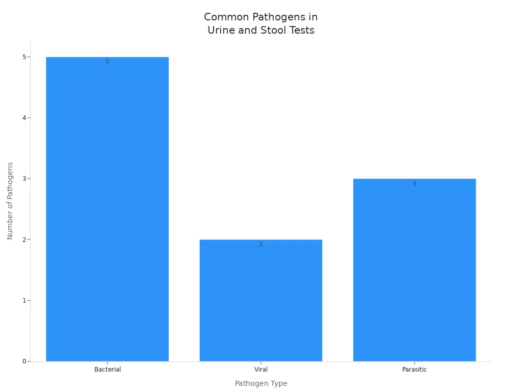 chart_1773888649239632395.webp