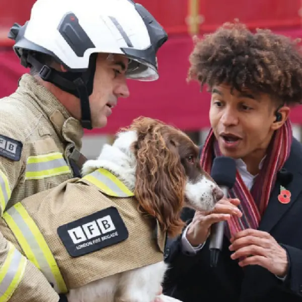 Canine Adenovirus Antigen Test (CAV-2 Ag)2 (1).jpg