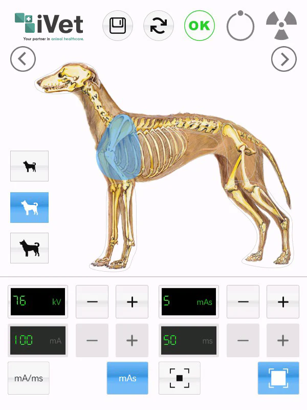 IVEX-5000 Handheld X-Ray System