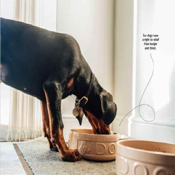 Colloidal gold platform