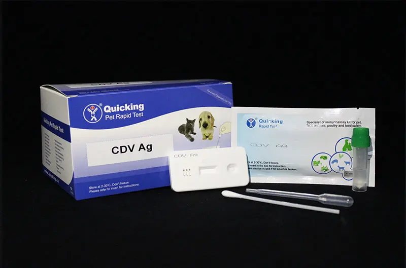 CDV Ag Rapid Test（W81005）