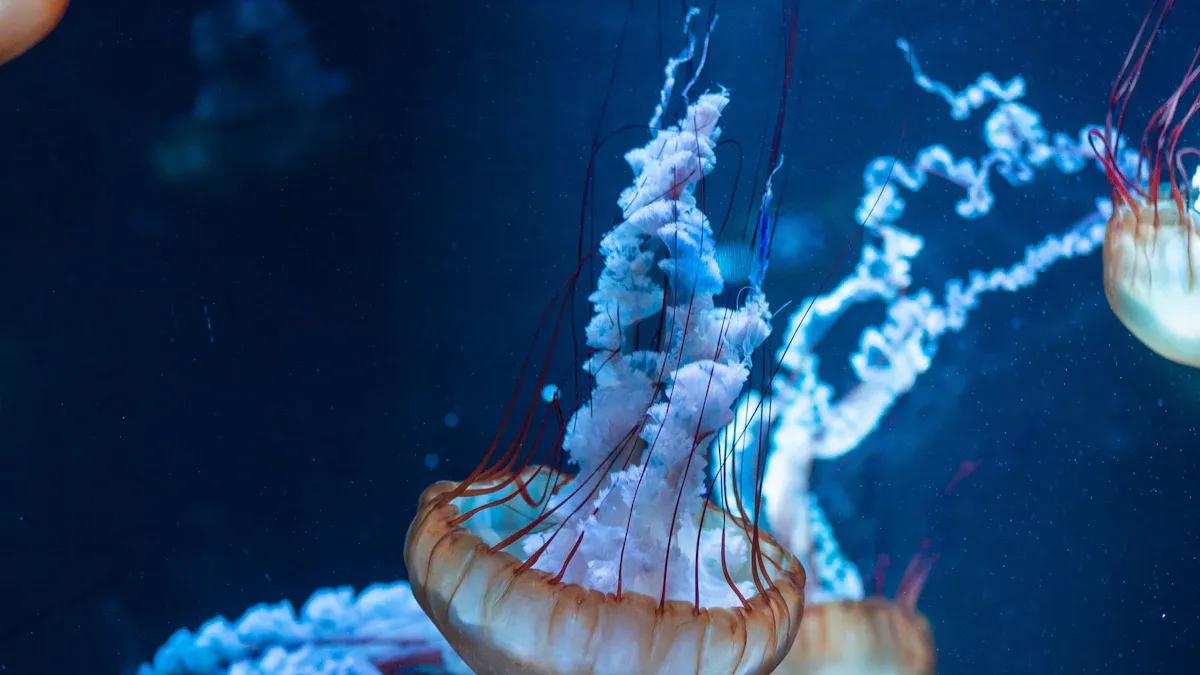 How to Solve Common Aquarium Problems with the C600 Meter