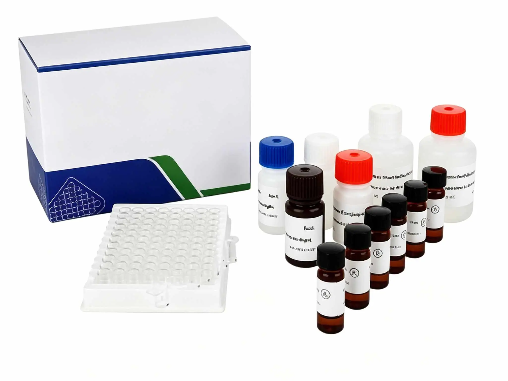 Thiamphenicol (2).jpg