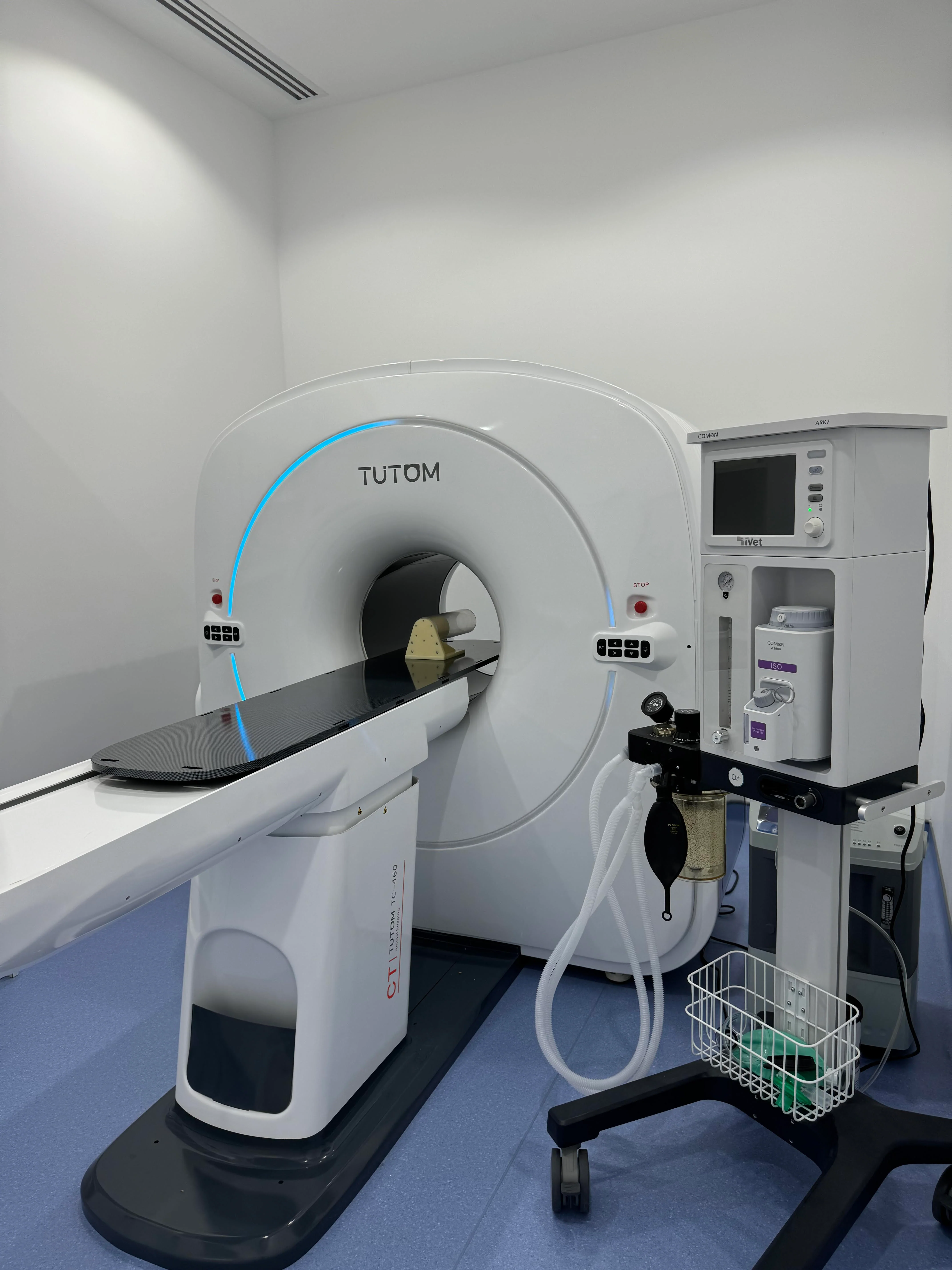 Veterinary Cone-beam CT