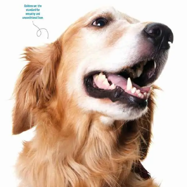 Colloidal gold platform3.jpg