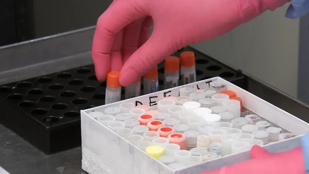 Is Your Pool Safe? Use a Chloramines Test Kit for Swimming Pool Water