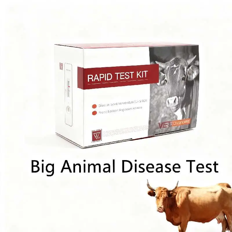 Bovine Brucella Antibody Test Card (4).jpg