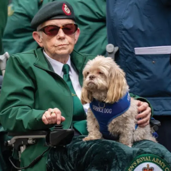 Canine Influenza Virus Antigen Test (CIV Ag)1 (1).jpg