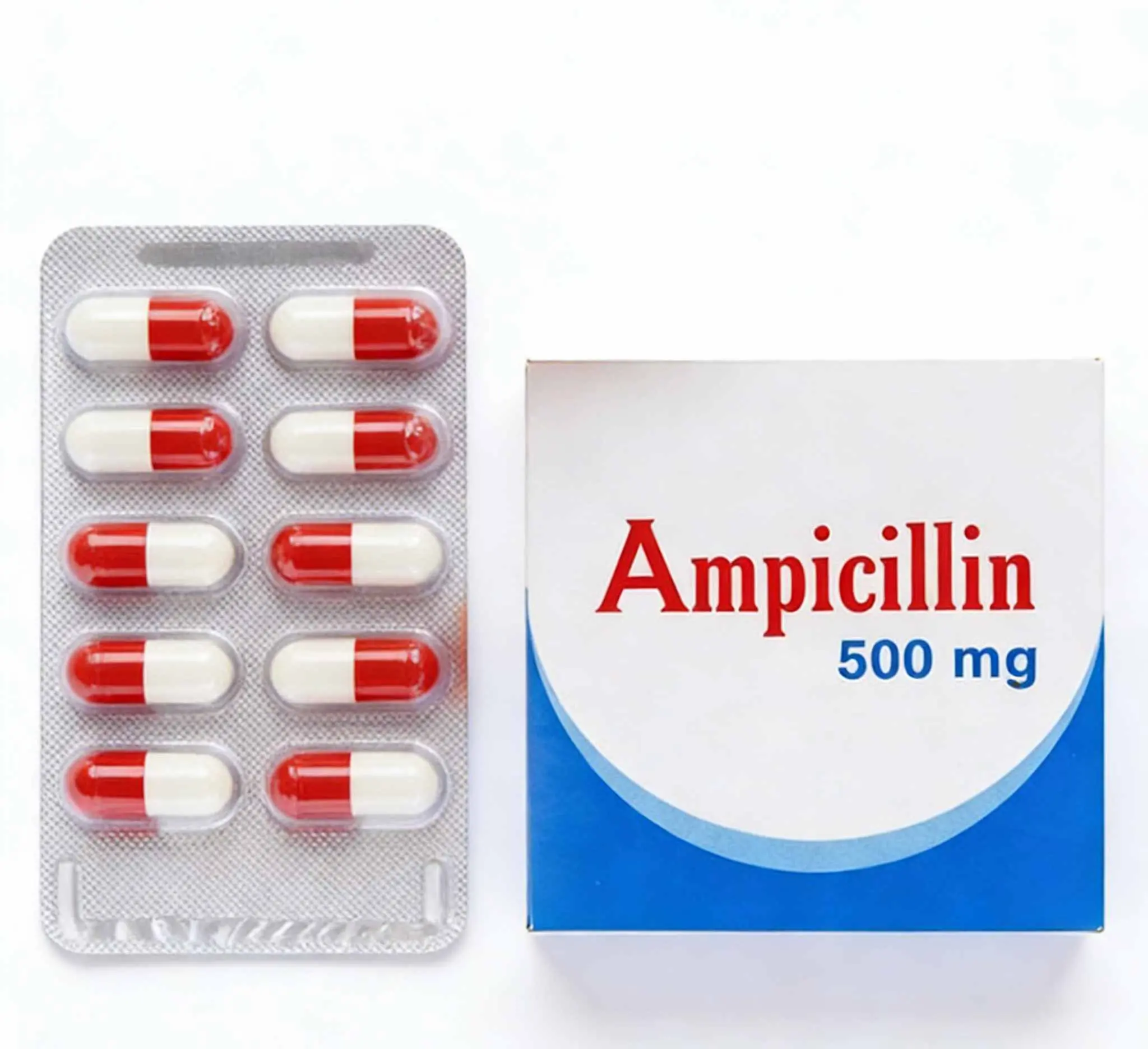 Ampicillin (3).jpg