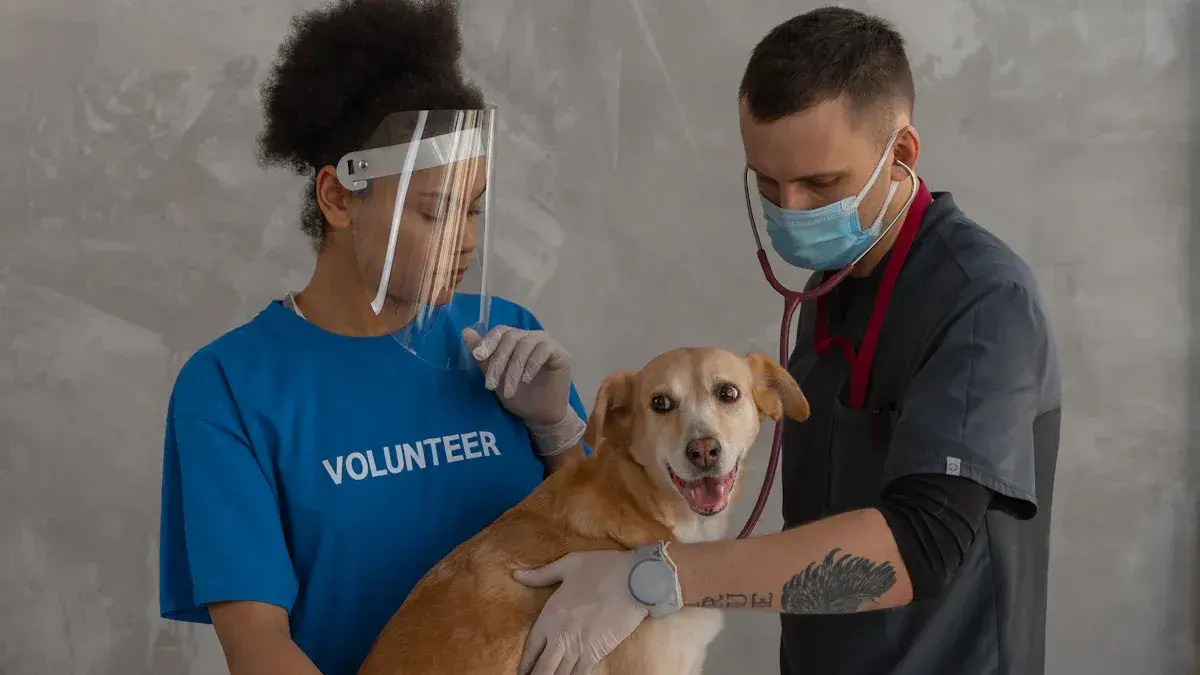 Canine Influenza Virus Antigen Test Tales Which Test Tells the Truth