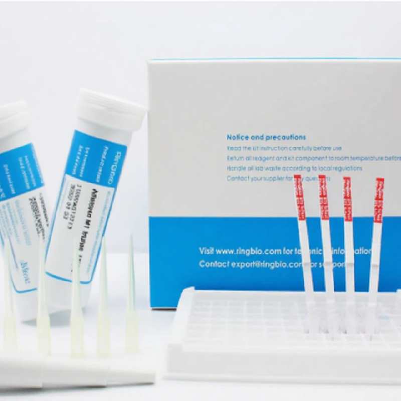 Fumonisin Rapid Test Strip (4).jpg