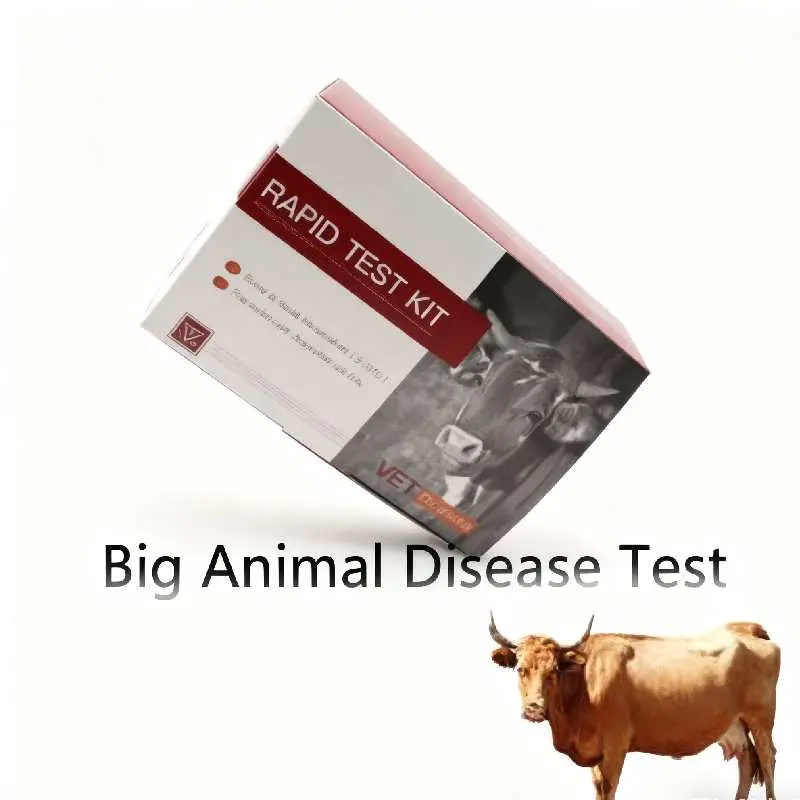 Bovine Brucella Antibody Test Card (1).jpg
