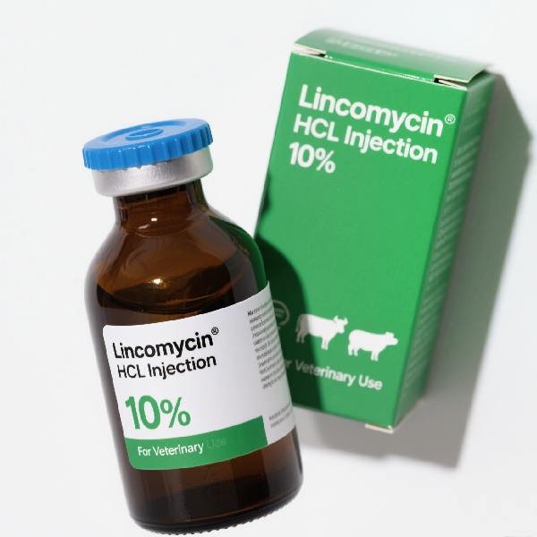 Lincomycin (2).jpg